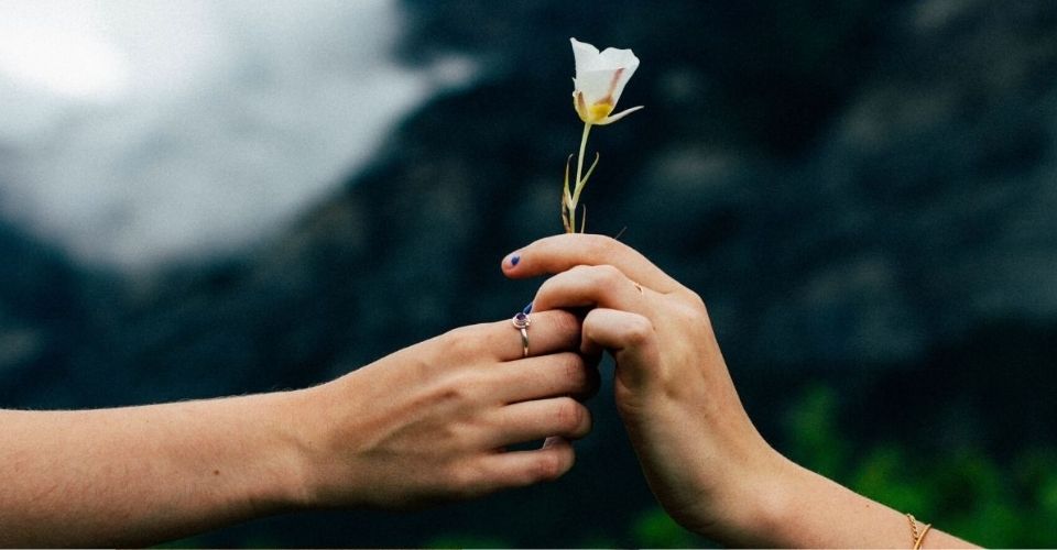 Twee handen wisselen een witte bloem uit – symbool voor het systemische principe van geven en nemen in balans binnen relaties.