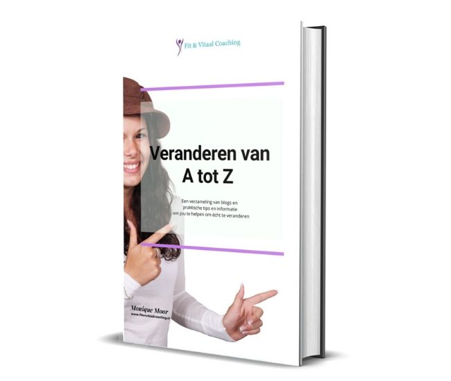 Grip op veranderen ebook