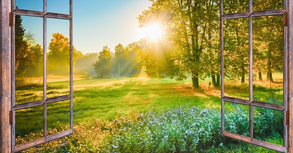 Zonsopkomst door een open raam als metafoor voor het emotionele venster waarin je stress aankunt zonder te blokkeren of te vluchten.